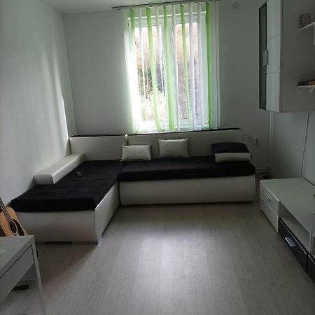 Apartament Doua Camere Hobicaurikány Kültér fotó
